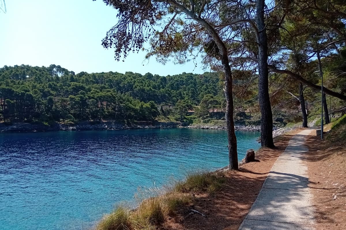 Hiking & Cycling