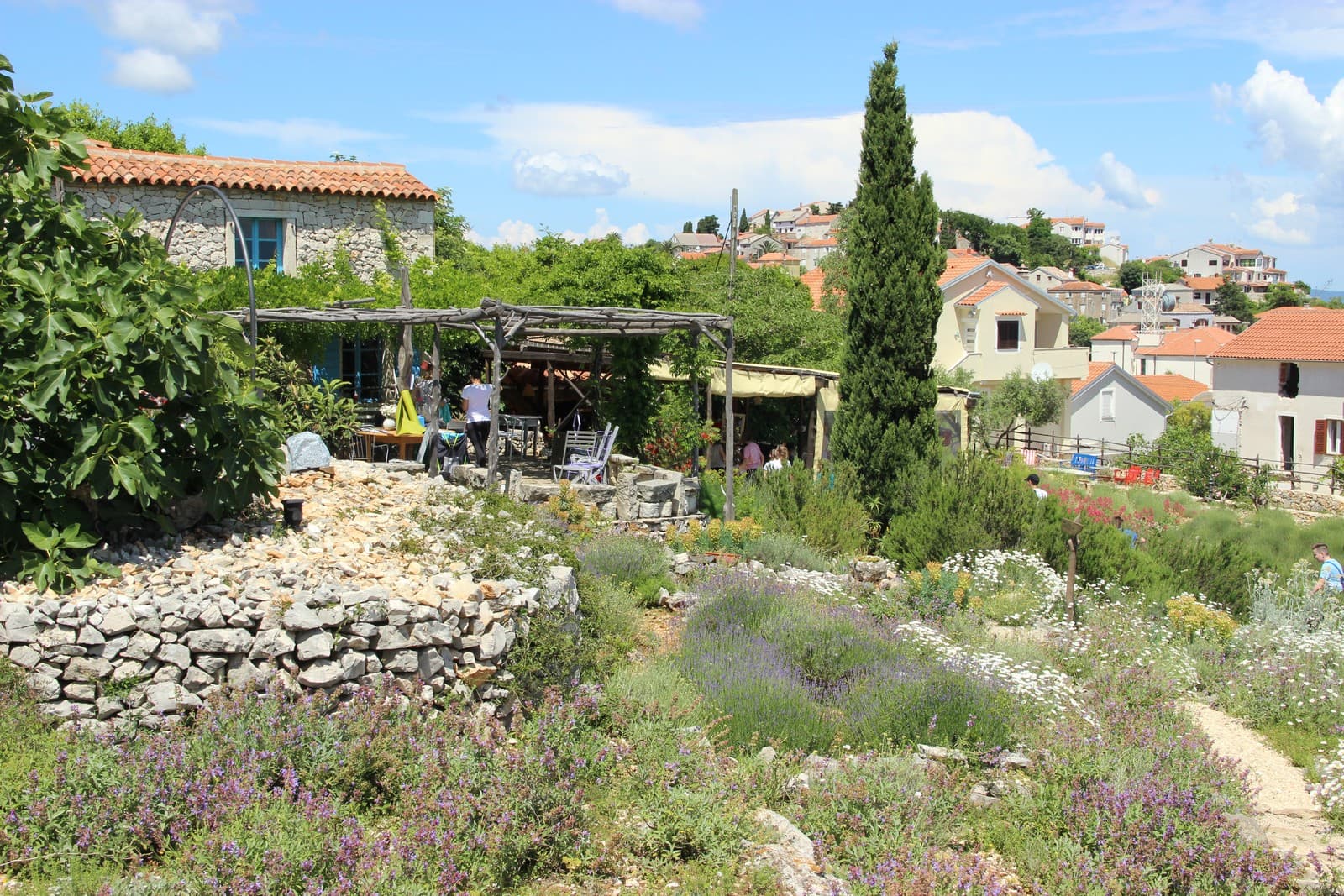 Lošinj's Fragrant Garden